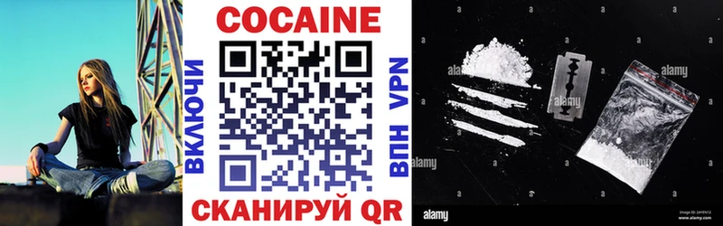 дарнет шоп  mega маркетплейс  Cocaine Columbia  Камбарка 