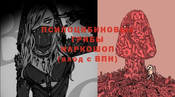 2c-b Алзамай