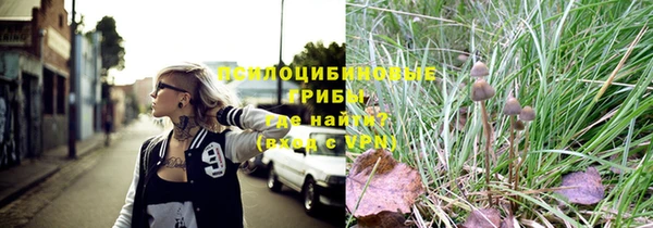 винт Алексин