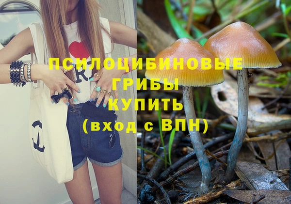 2c-b Алзамай
