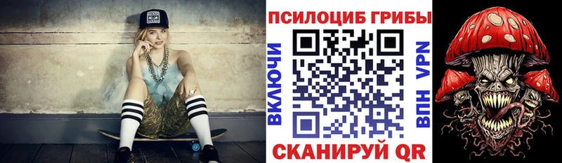 ОМГ ОМГ ТОР  сколько стоит  Камбарка  Псилоцибиновые грибы прущие грибы 