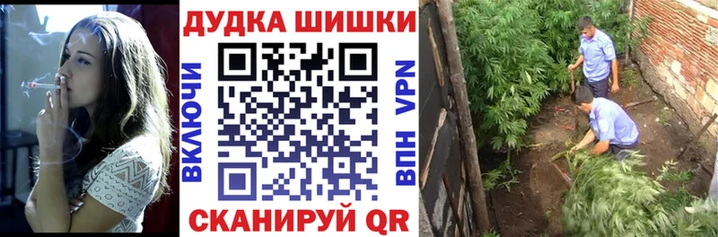 Шишки марихуана VHQ  Камбарка 